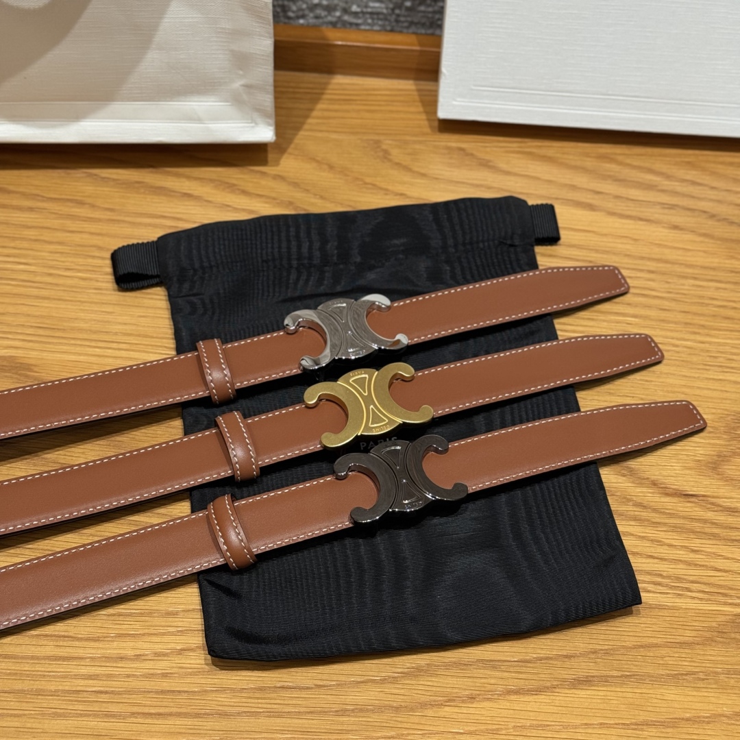 Celine Triomphe Reversible Belt 25 mm with Removable Buckle - Versatile Style 7 cmp i1752926239147 35 0 3