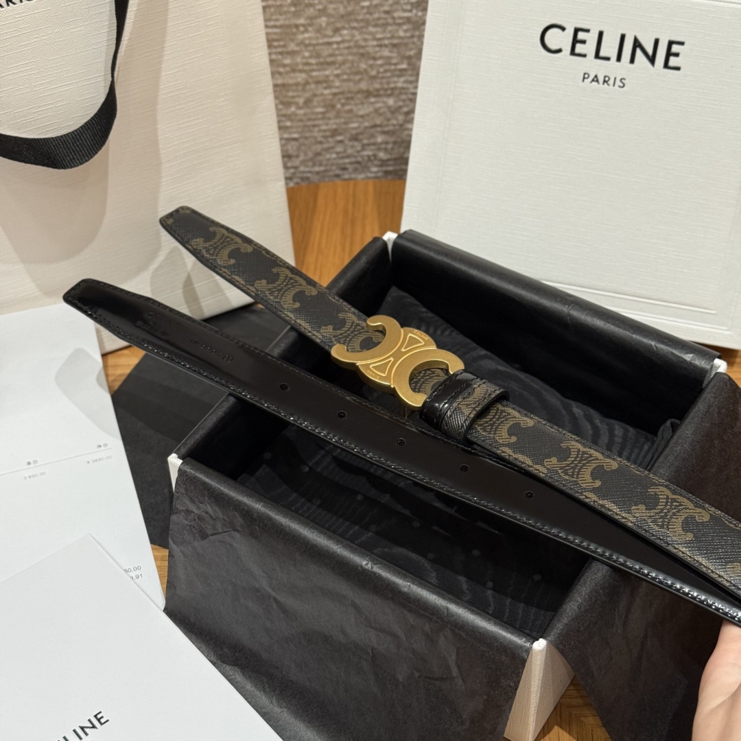 Celine Triomphe Buckle Reversible Belt In Taurillon Leather, 25 mm 7 cmp i1757573924623 127 0 5