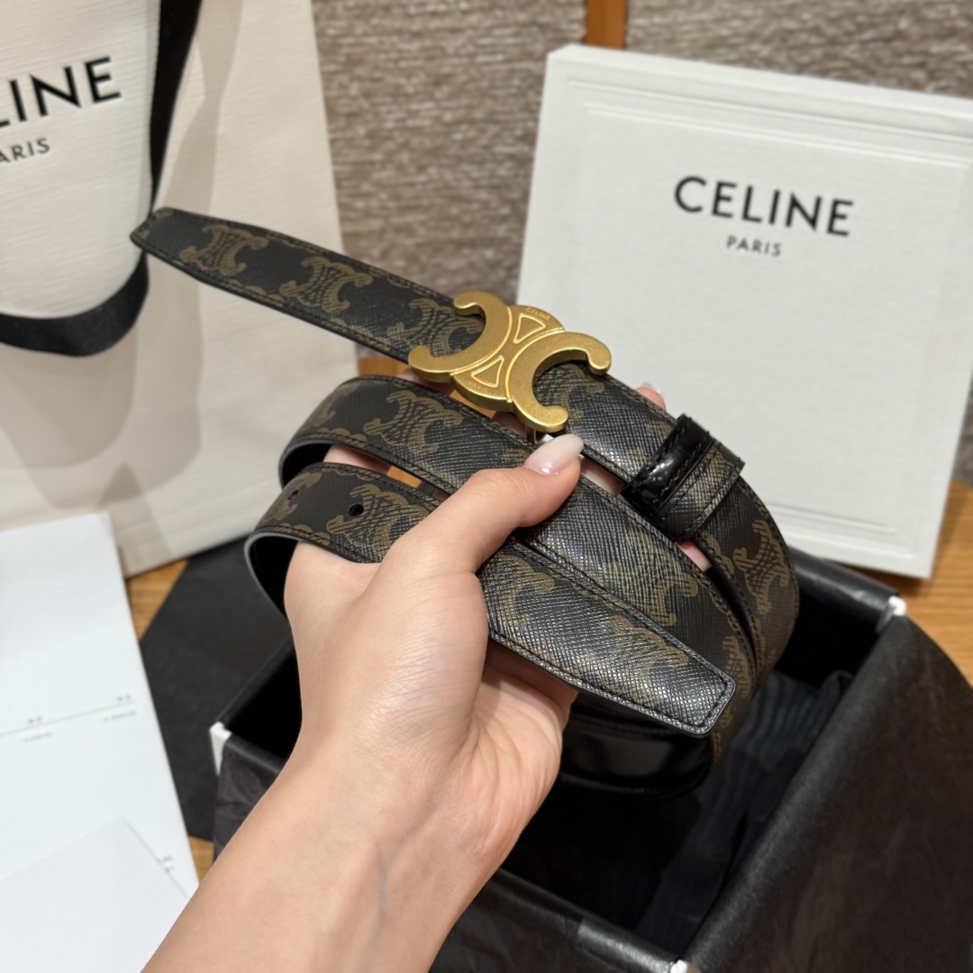 Celine Triomphe Buckle Reversible Belt In Taurillon Leather, 25 mm 2 cmp i1757573925194 2282 0 1