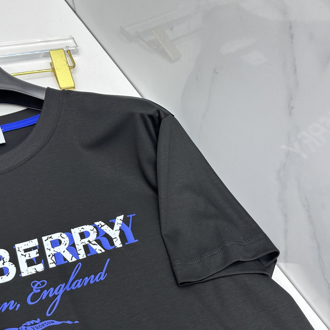 🆕Burberry巴宝莉 新款首发专柜最新款短袖圆领T恤 高端订制 胸前logo设计 高定丝光面料.手感