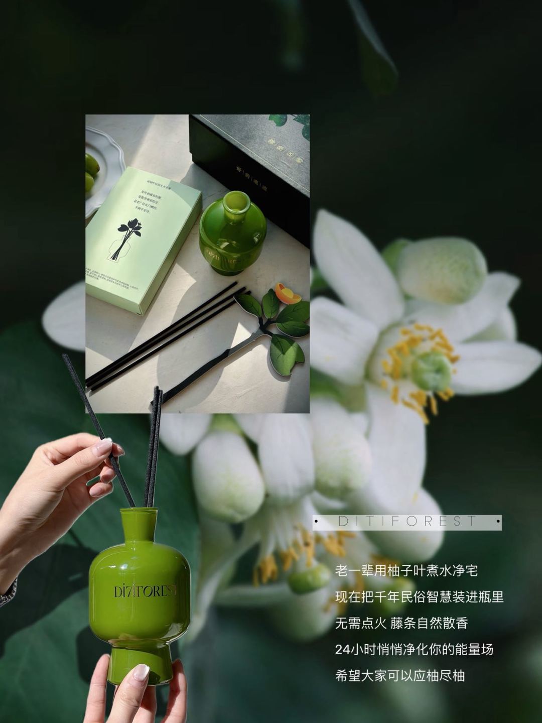 with a clear and refreshing pomelo fragrance that relieves greasiness - Perfume 2