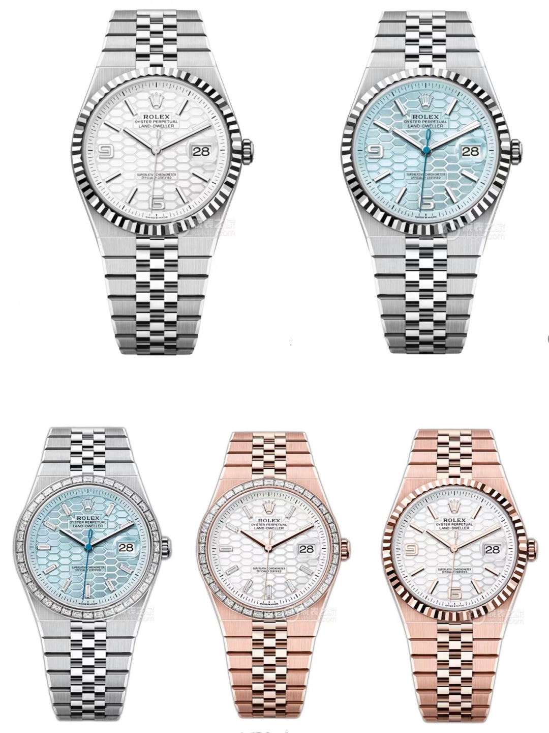 Rolex Land-Dweller Automatic Watch with Honeycomb Dial, 40mm 9 cmp i1748979635142 3618 0 8