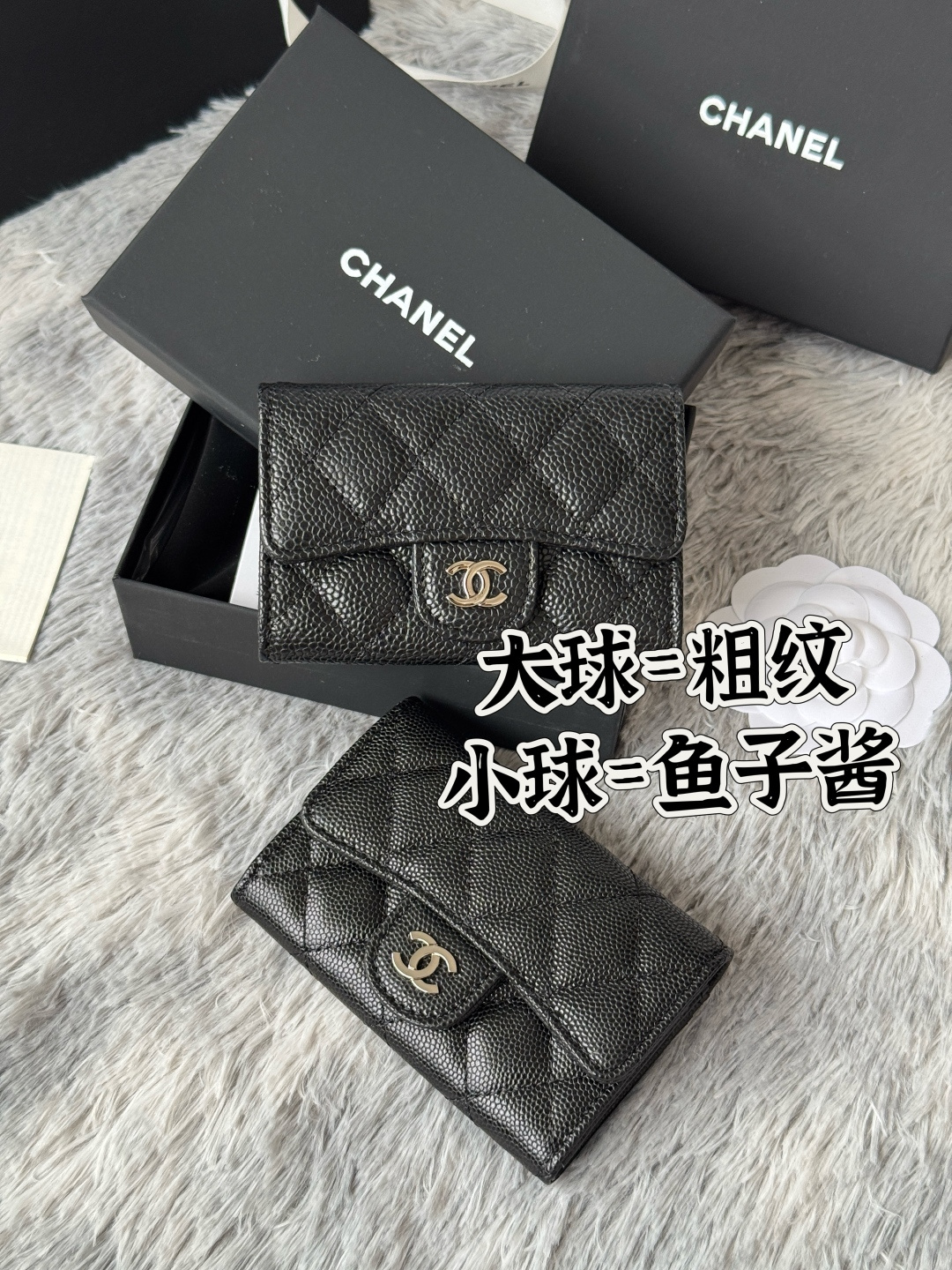 各位老板
0214 大球 小球 对比图