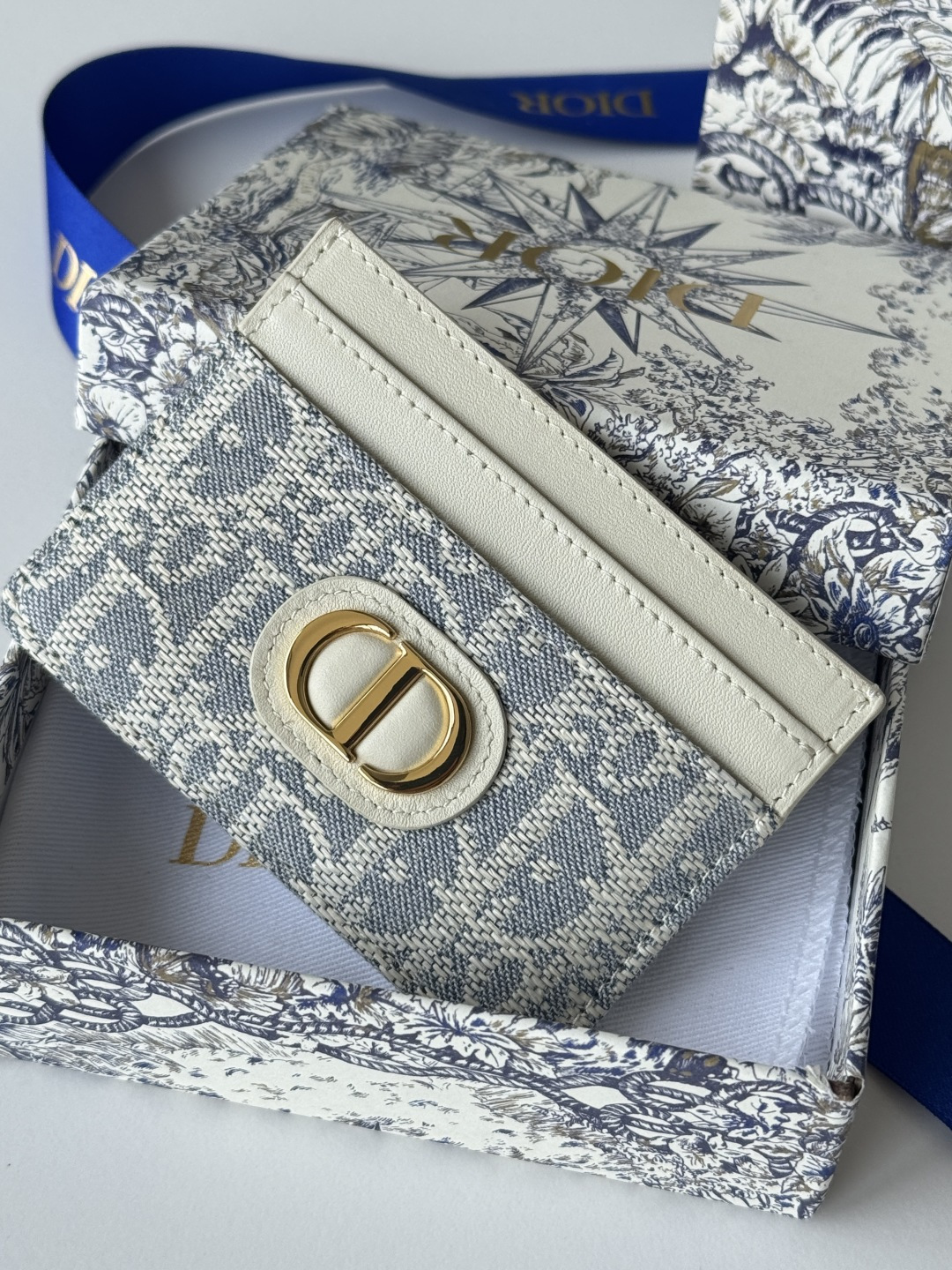 Dior 卡夹 Oblique 印花