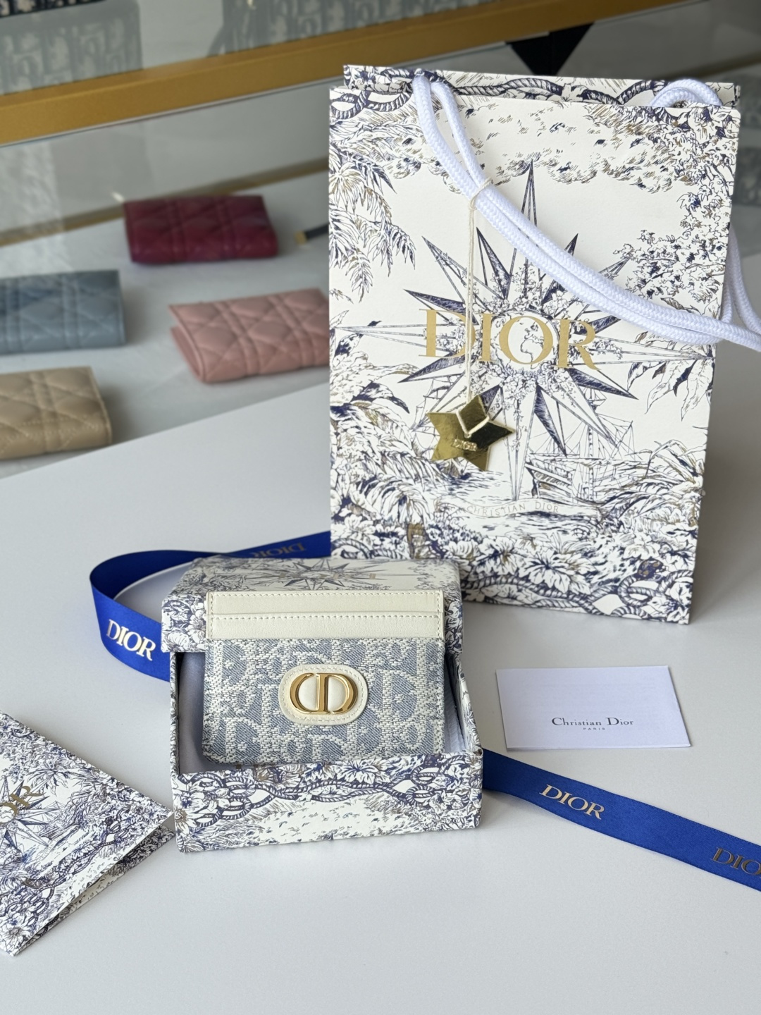 Dior 卡夹 Oblique 印花