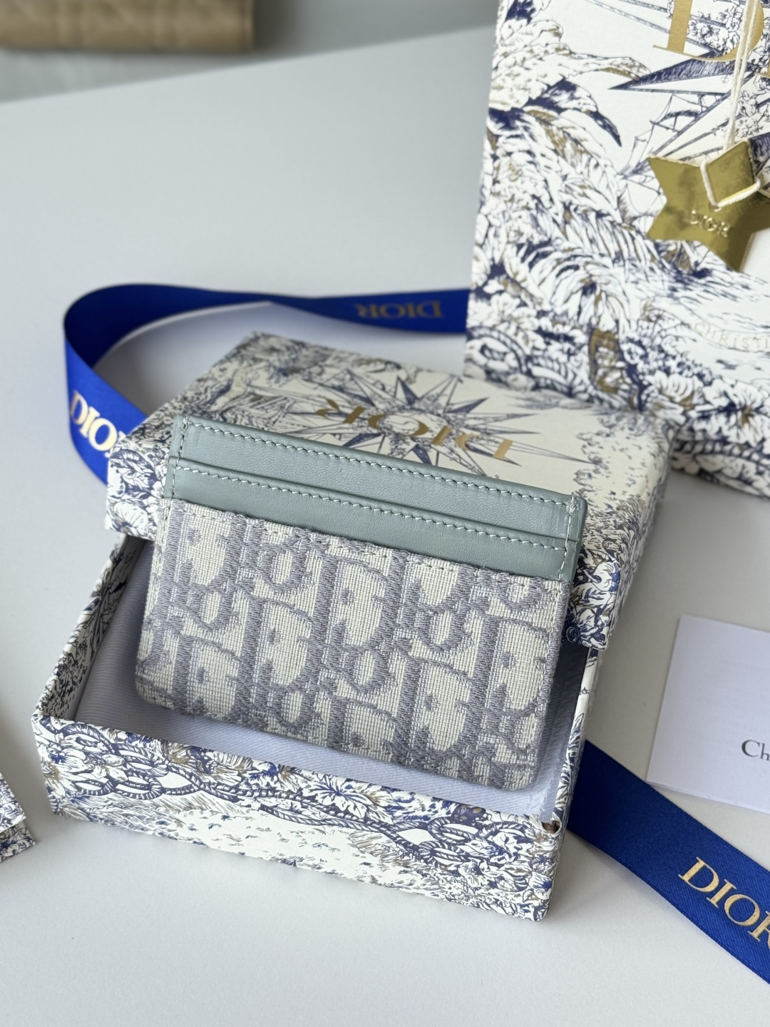 Dior 卡夹 Oblique 印花