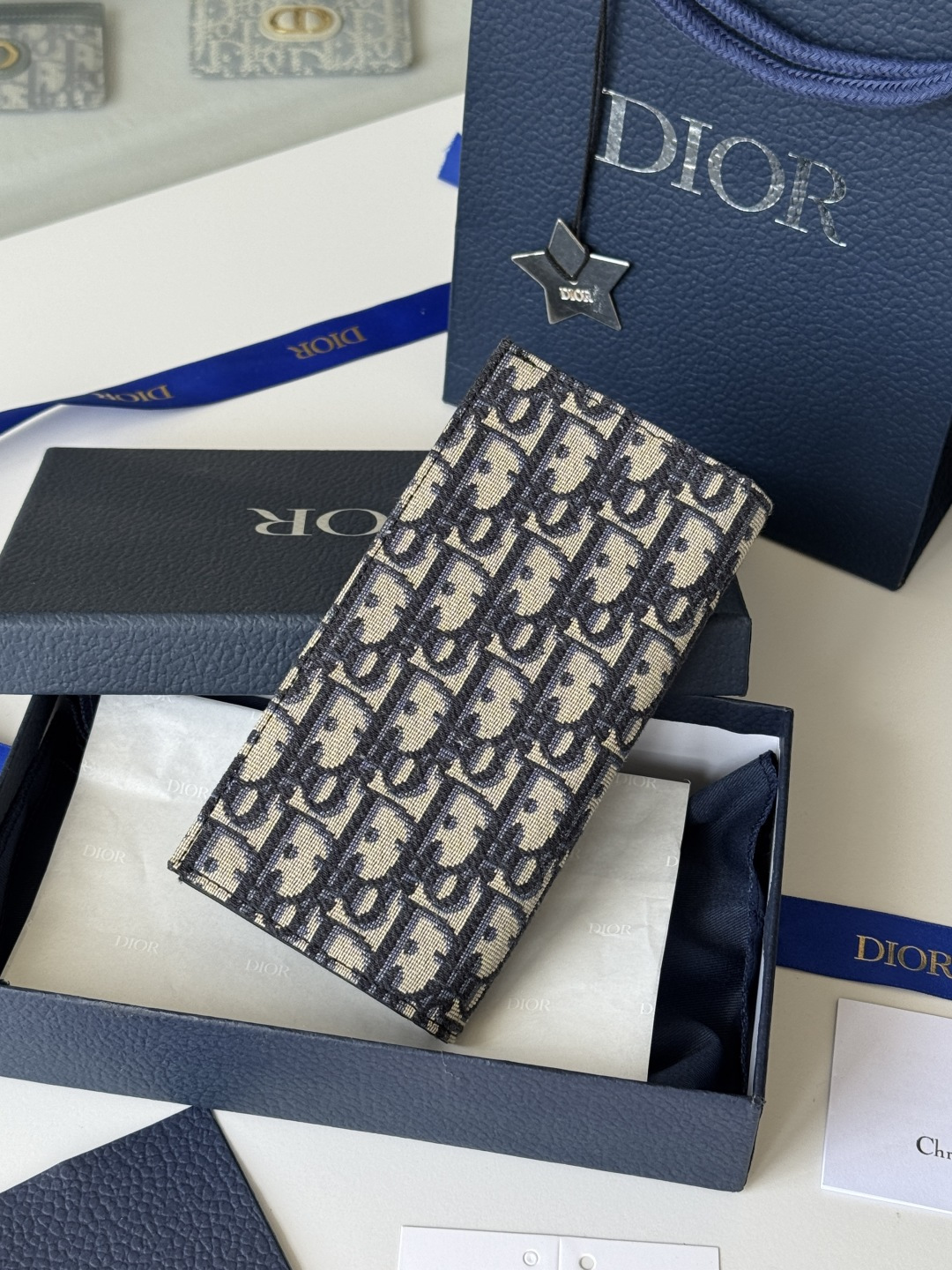Dior 米色和黑色 Oblique 印花面料
