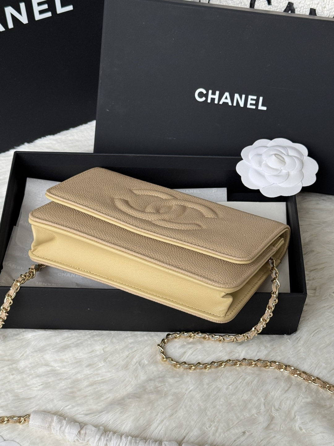 Chanel 新品woc 小挎包 拼鱼子酱拼平纹牛皮小香 woc小包