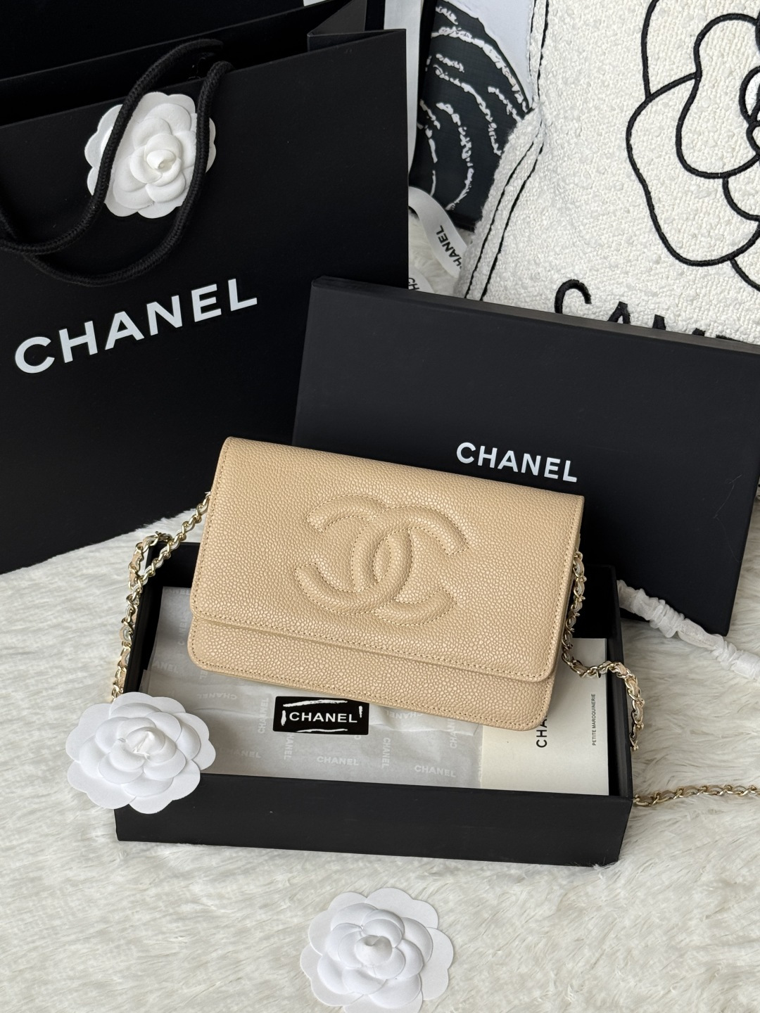 Chanel 新品woc 小挎包 拼鱼子酱拼平纹牛皮小香 woc小包