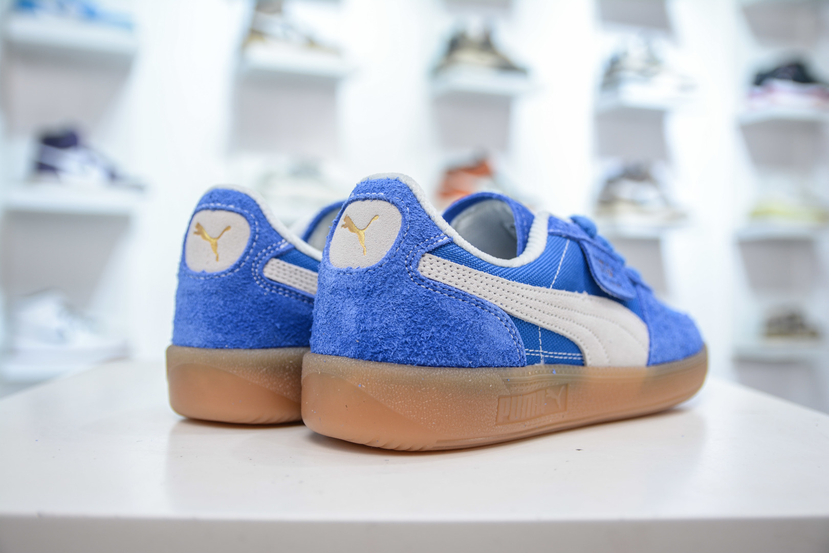 Puma Palermo Leather Sneakers - Retro Style, Low-Top, Suede & Leather, Blue 6 cmp i1756317911822 8268 0 5