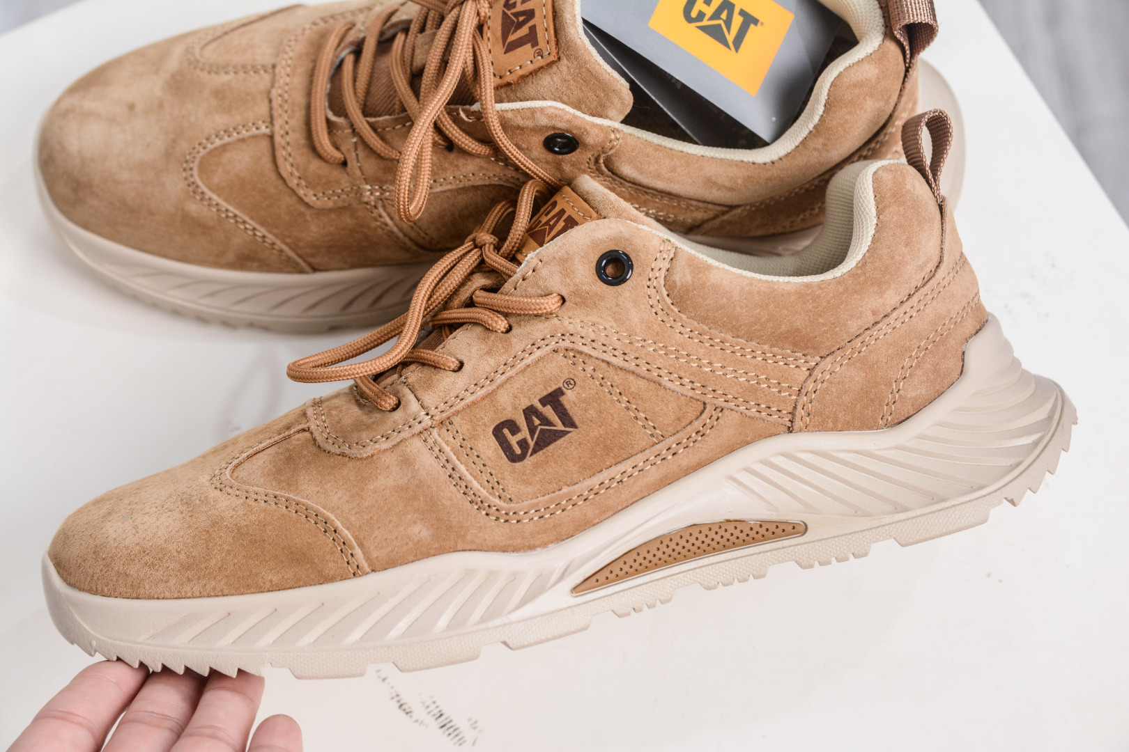 cmp i1758306908818 2901 0 6