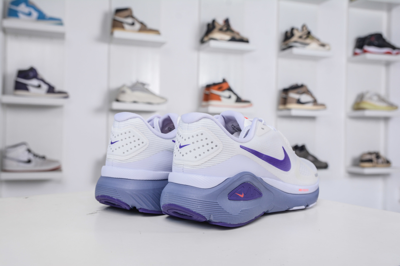 cmp i1760292421023 6481 0 5