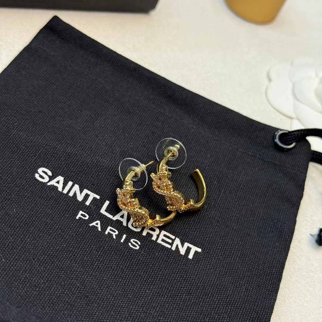 “St. Roland YSL Arguments: A Treasure of Beauty for Your Style, Smell, and Taste” - 图片 8
