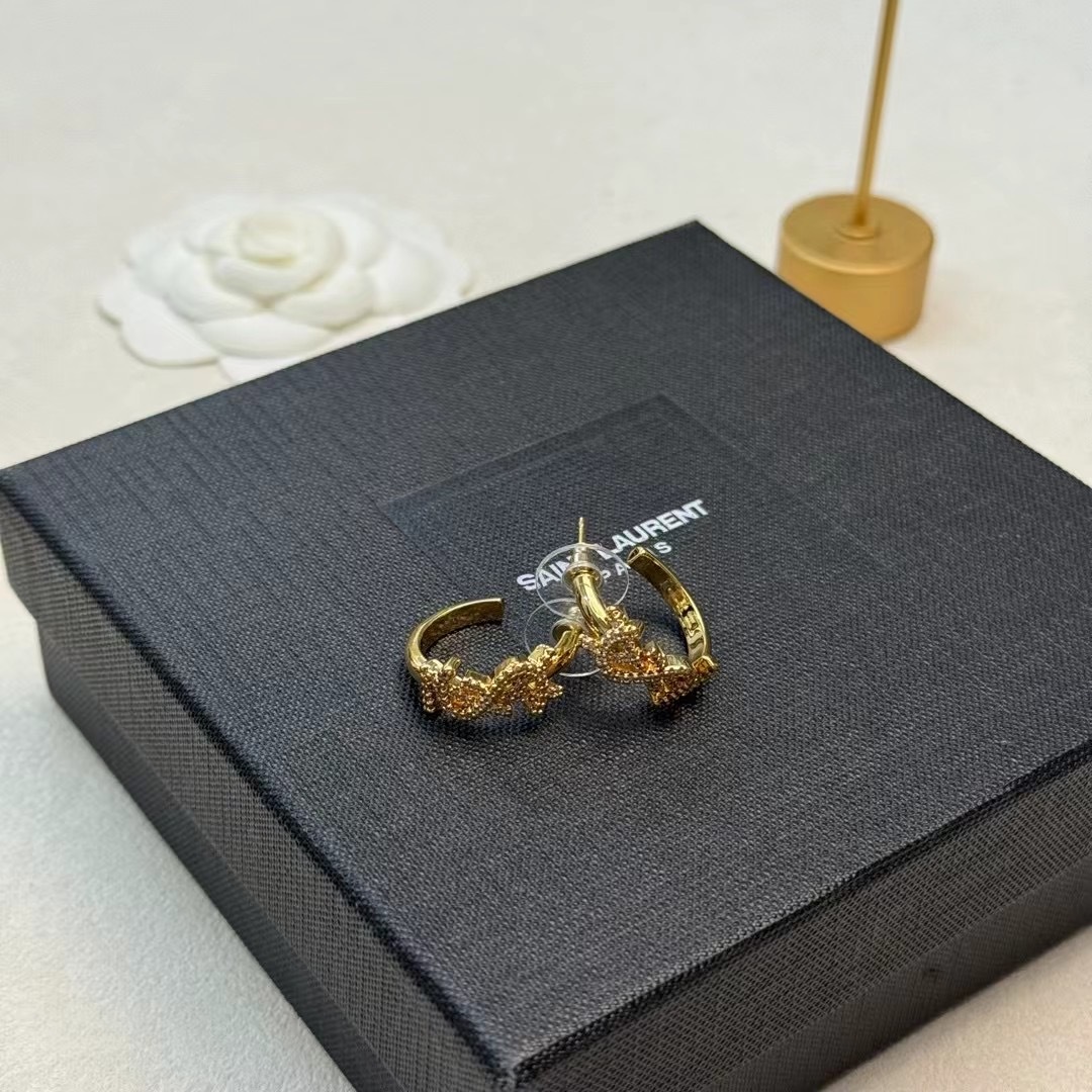 “St. Roland YSL Arguments: A Treasure of Beauty for Your Style, Smell, and Taste” - 图片 9