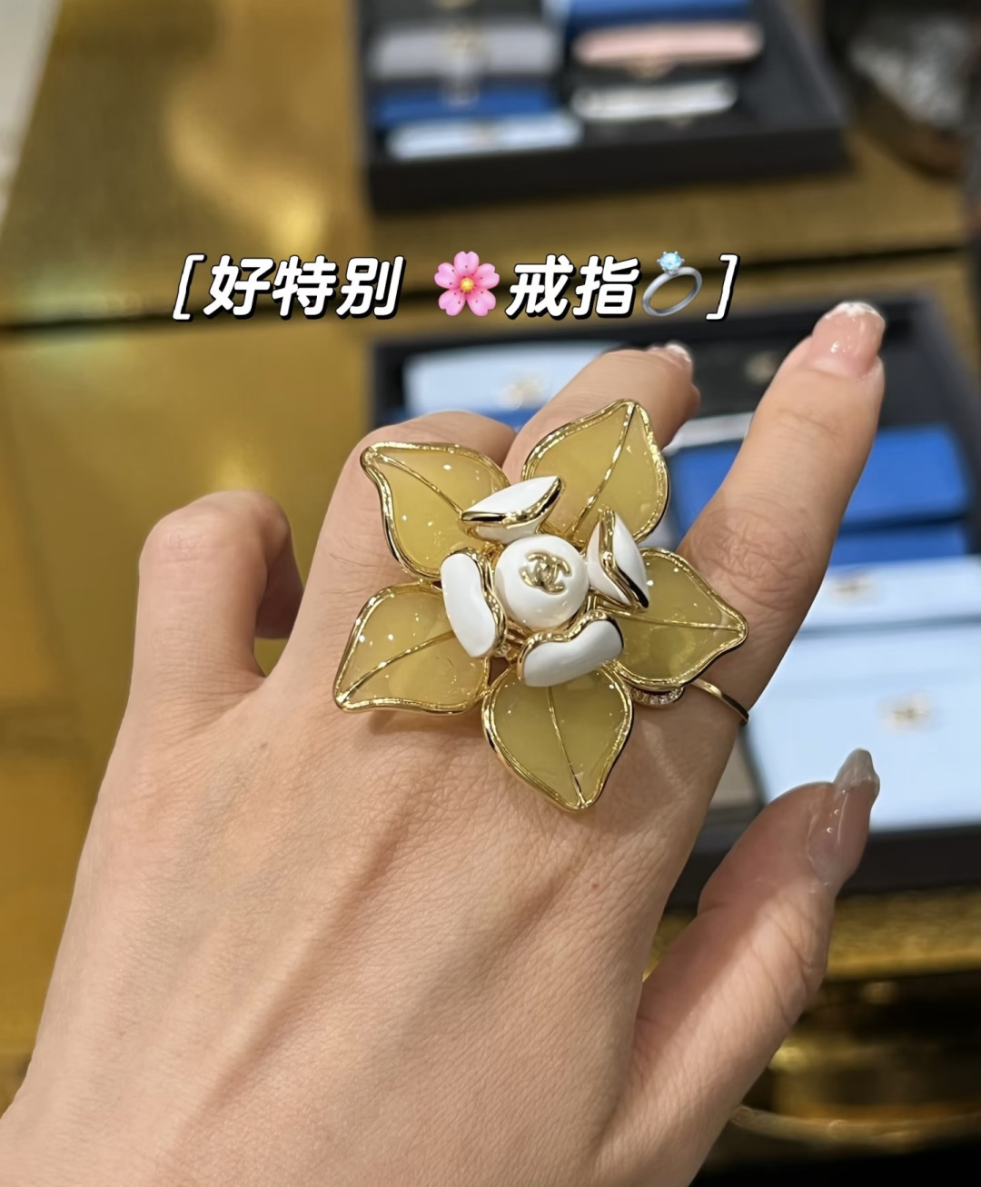【】  🌼