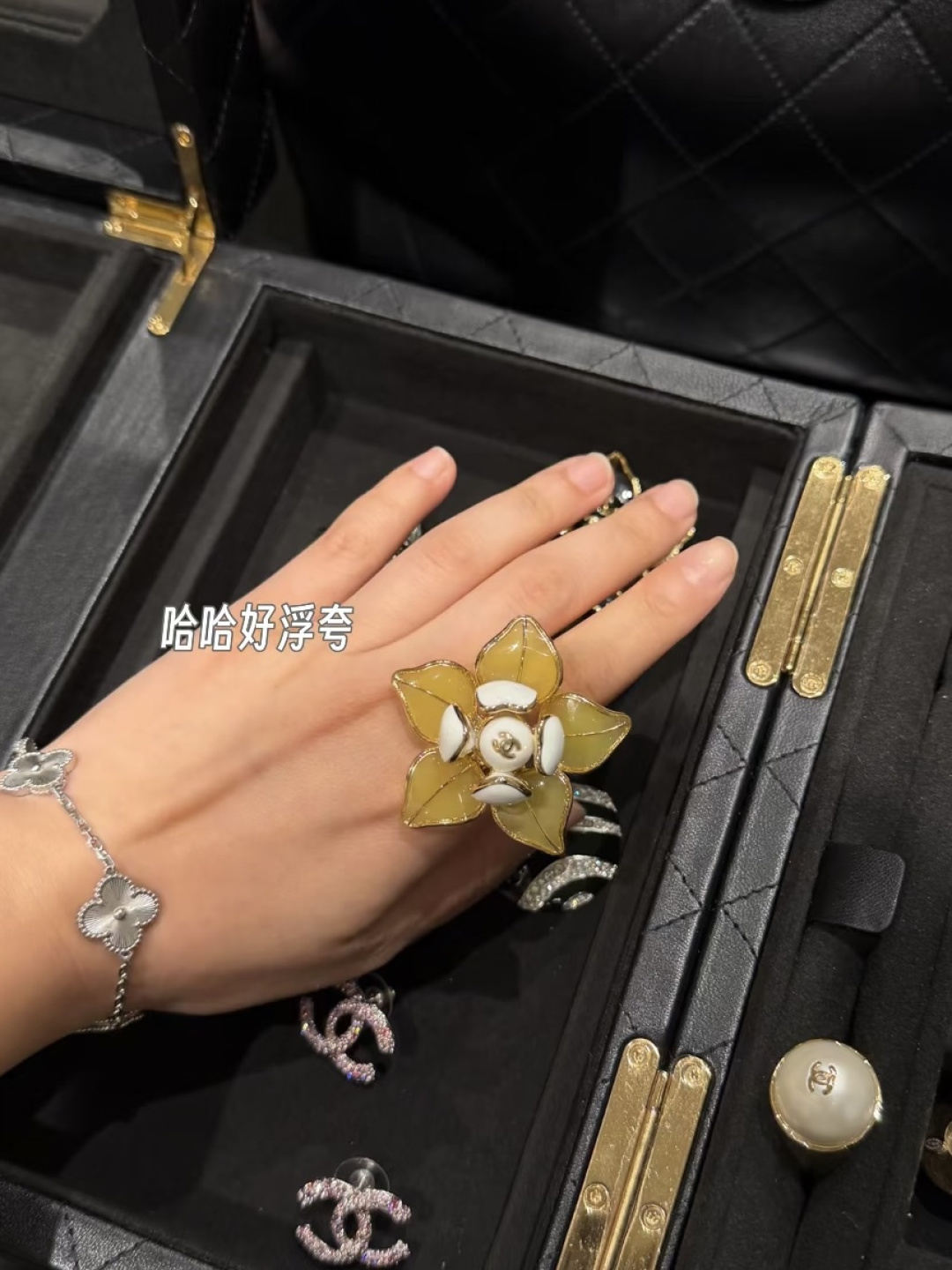 【】  🌼