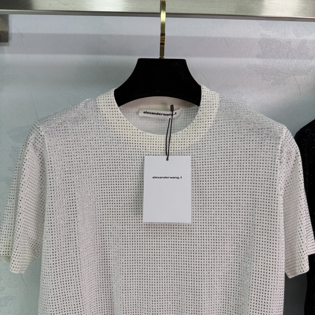 “Original One-Size-Fits-All Female Suit with Alexander Wang Shirt: Fashionable Summer Attire” - 图片 2