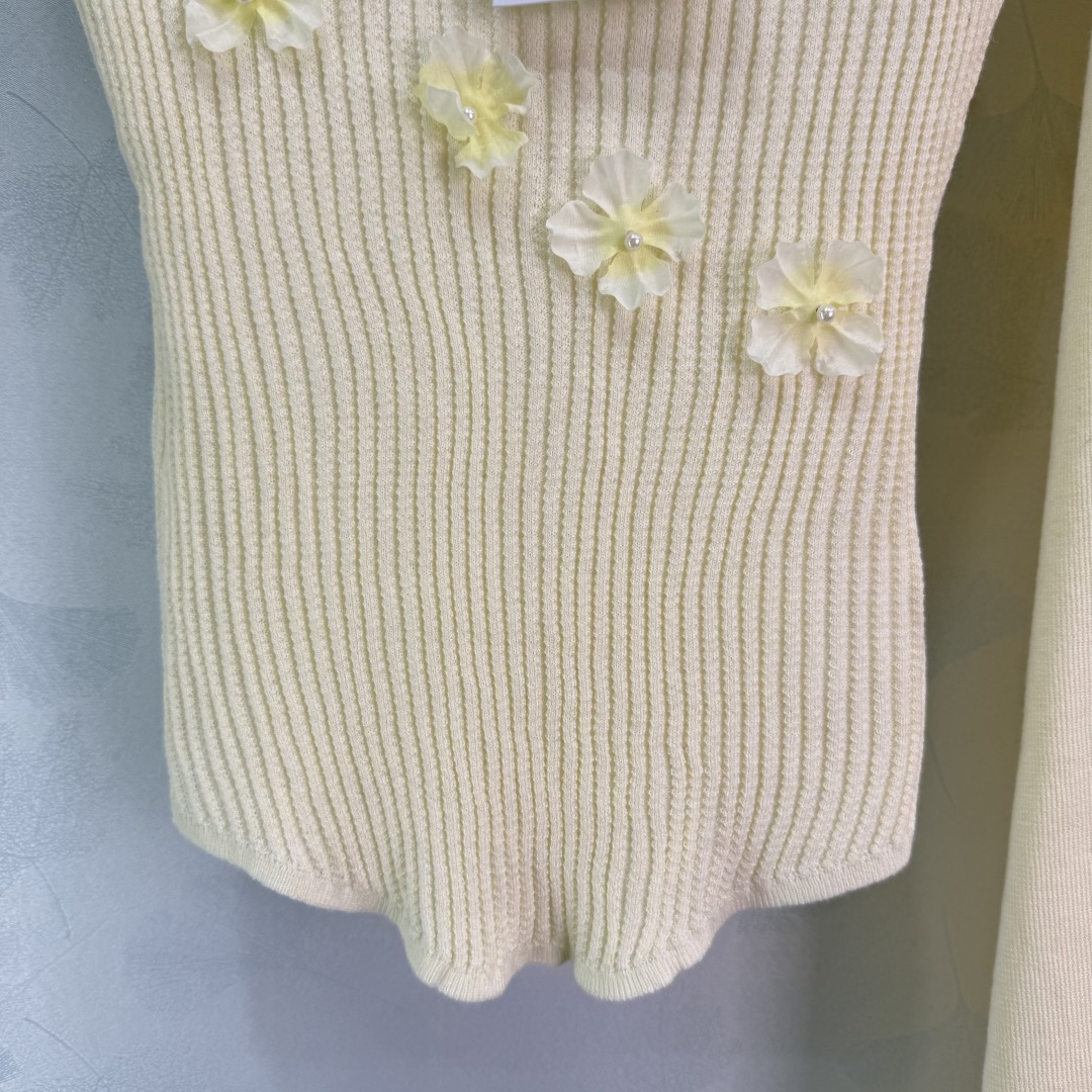 2025 Summer Female Suit: Embroidered Vest, Half-Hair Dress, 2-Colored SML Design - 图片 5