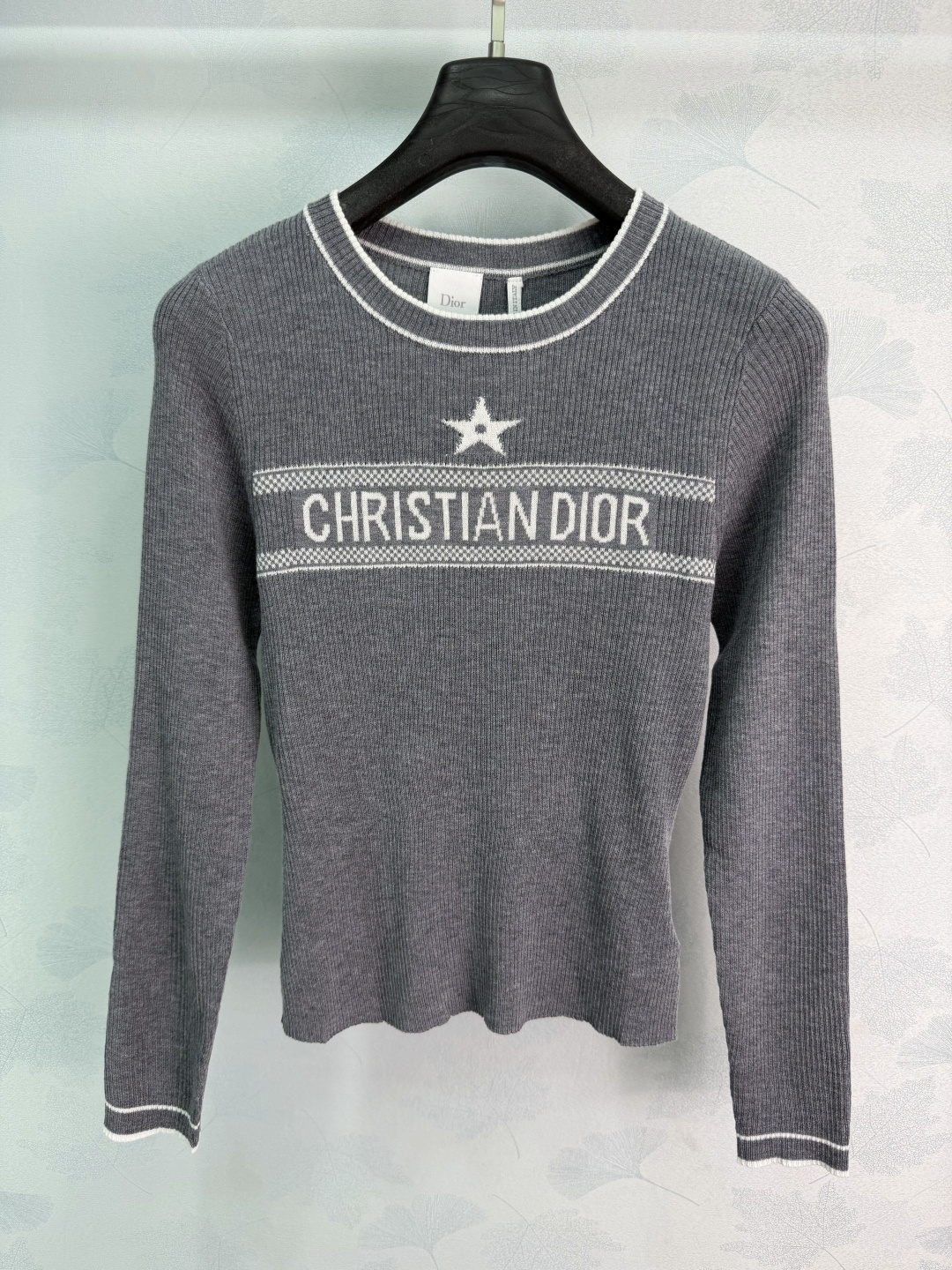 Dior Star Letter Rib Knit Top