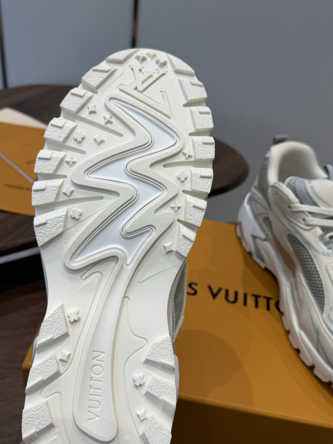 Louis Vuitton Sneakers