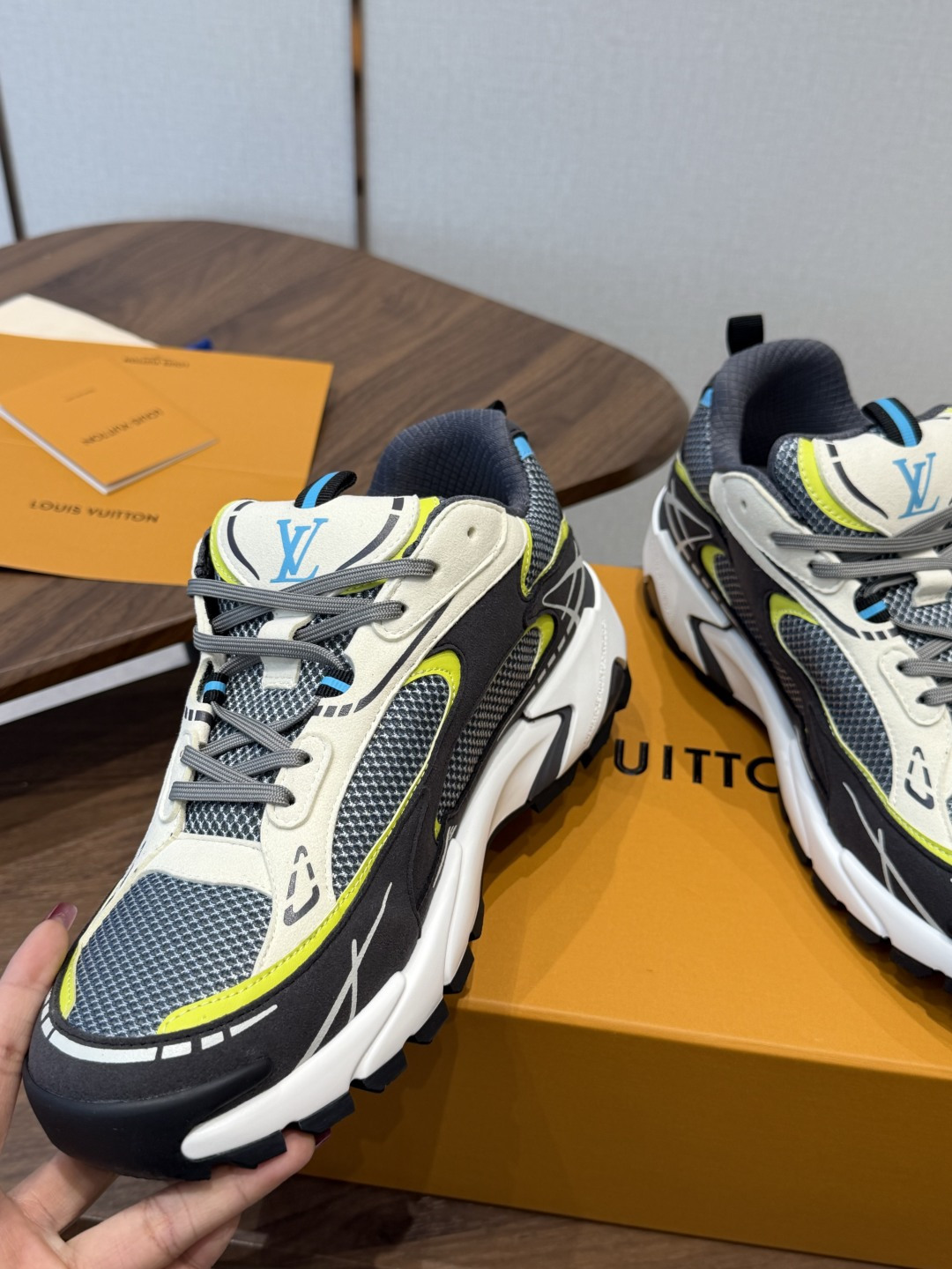 Louis Vuitton Sneakers