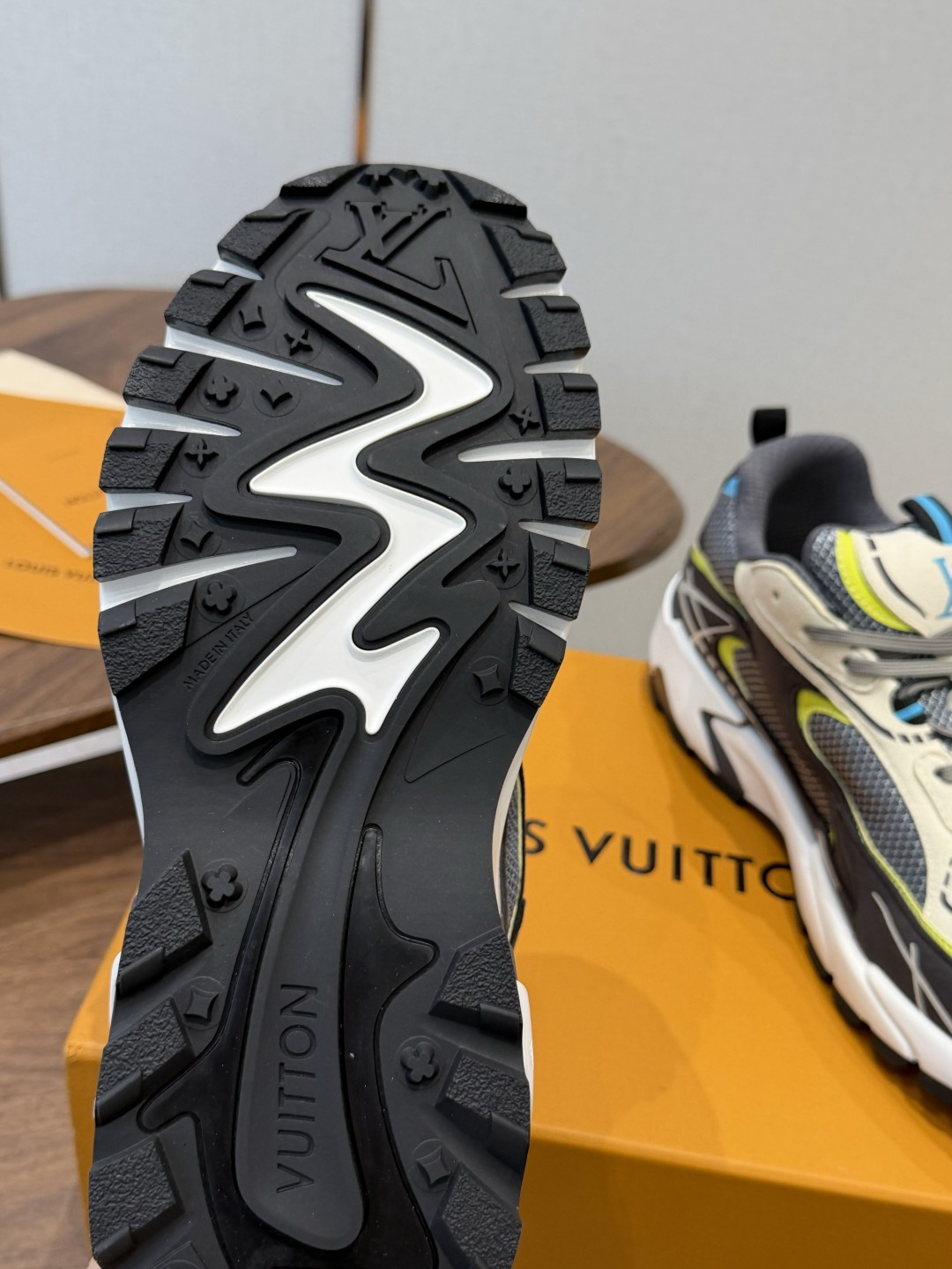 Louis Vuitton Sneakers