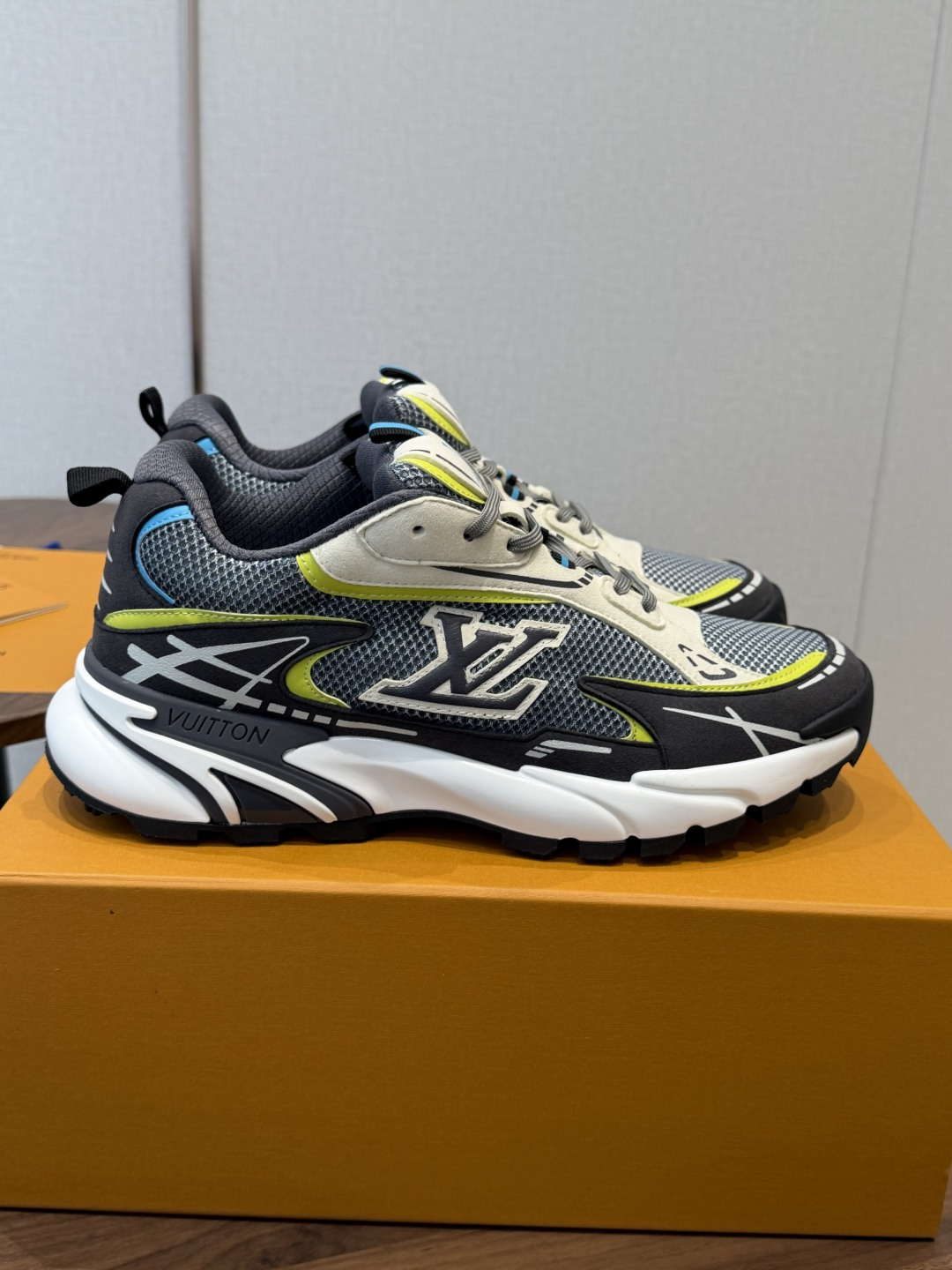 Louis Vuitton Sneakers