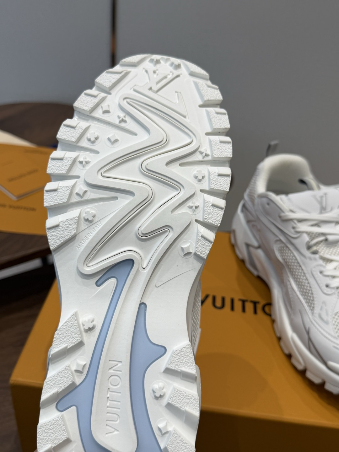 Louis Vuitton Sneakers