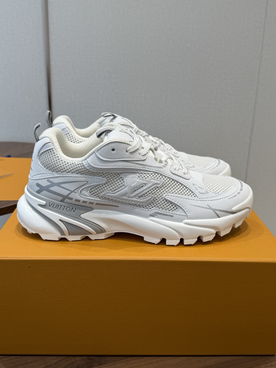 Louis Vuitton Sneakers