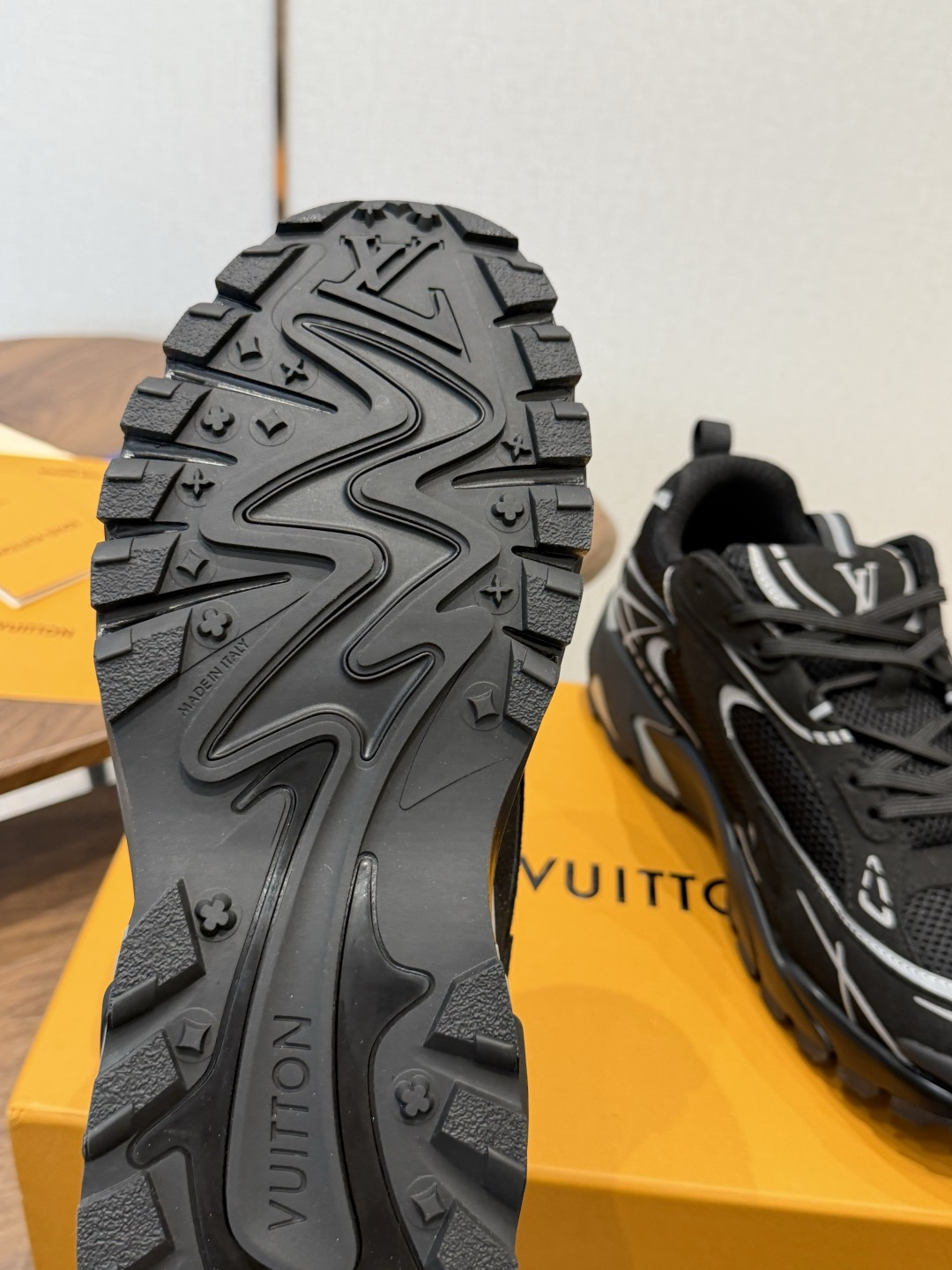 Louis Vuitton Sneakers