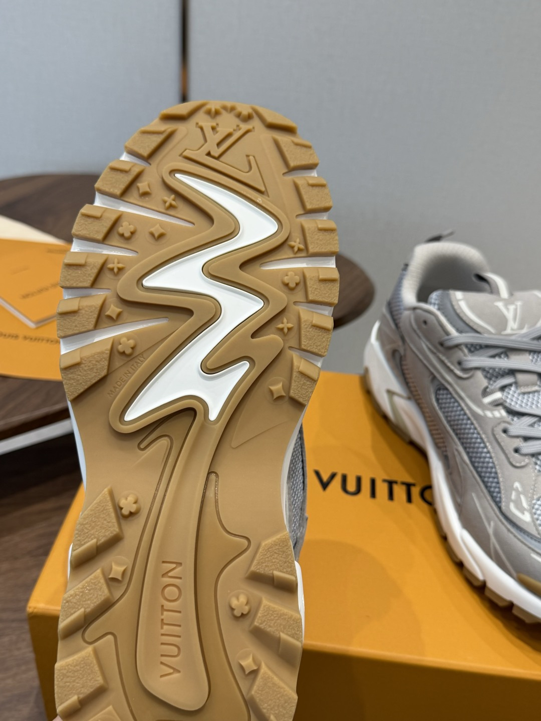 Louis Vuitton Sneakers