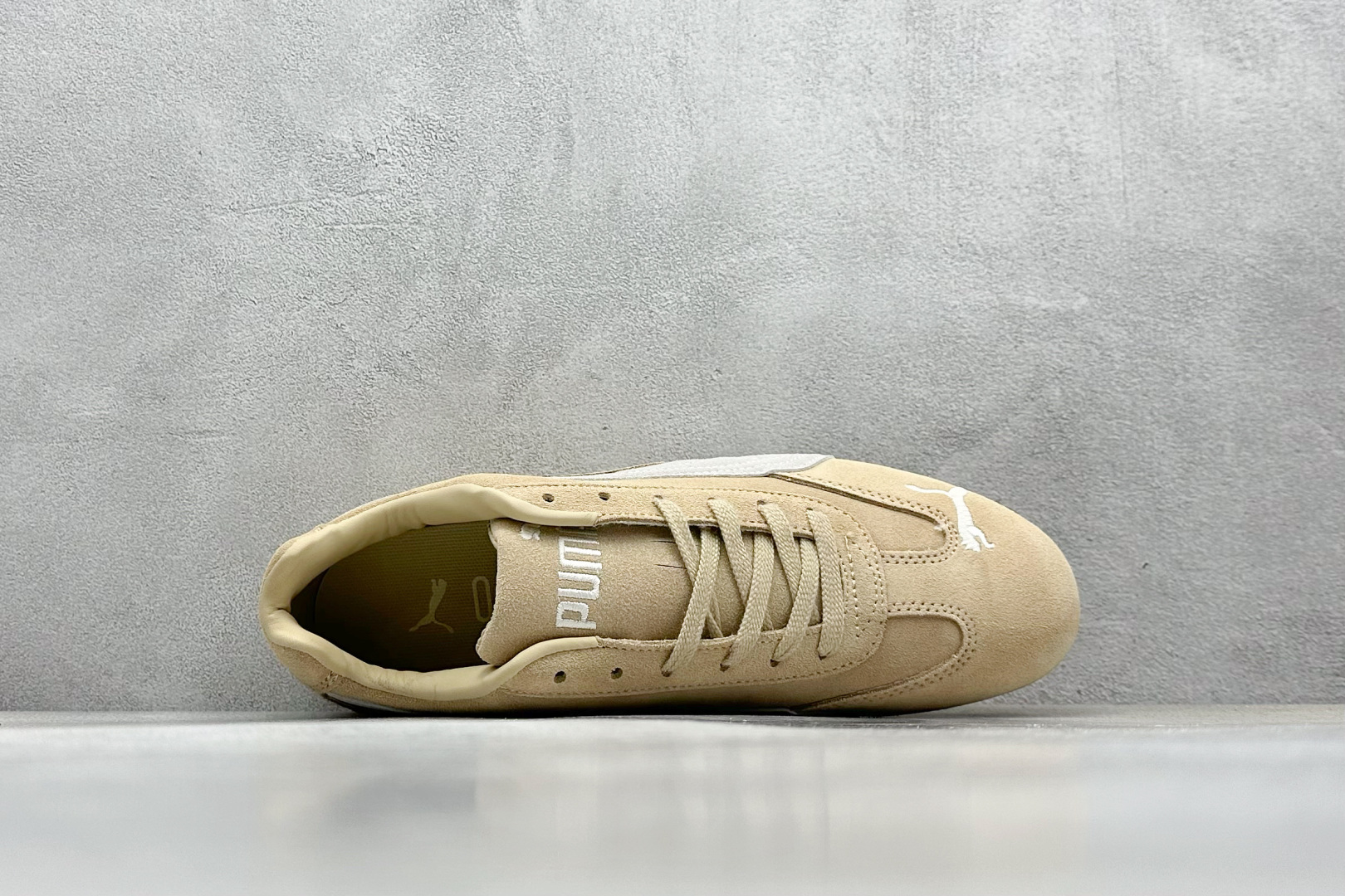 终端放店
Xs版 Puma Palermo OG  防滑耐磨低帮德训板鞋
孔眼底座和脚趾凸起由绒面革材