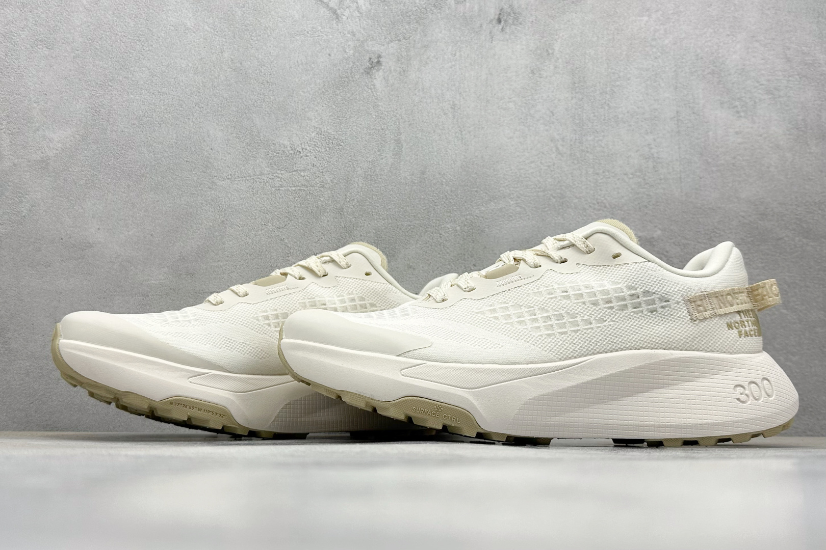 220 北面/The North Face Altamesa 300 阿尔塔梅萨300系列仿泼水 低帮徒步户外风登山休闲运动鞋 NF0A8A9RWID-085