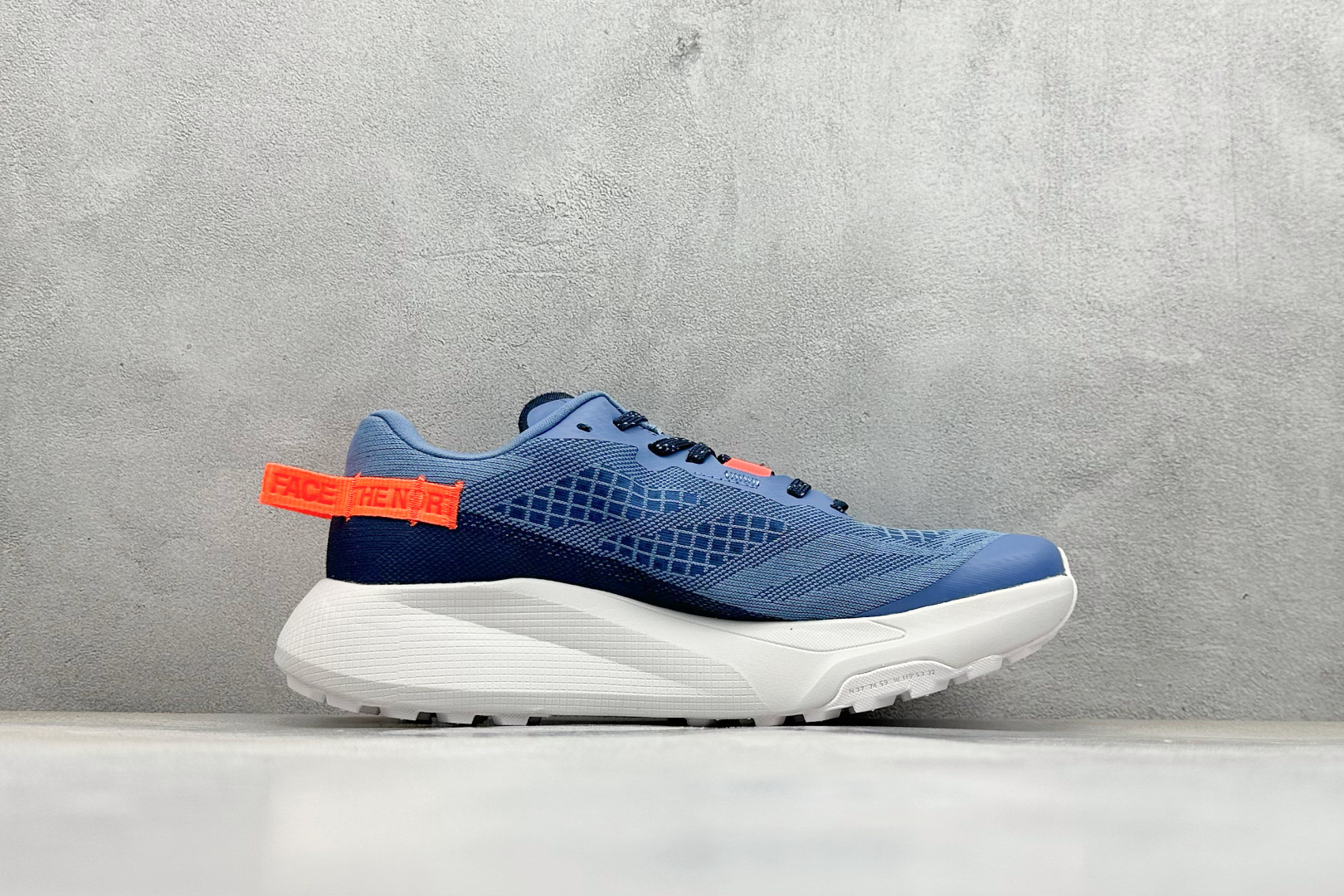 220 北面/The North Face Altamesa 300 阿尔塔梅萨300系列仿泼水 低帮徒步户外风登山休闲运动鞋 NF0A8A9RV71-140