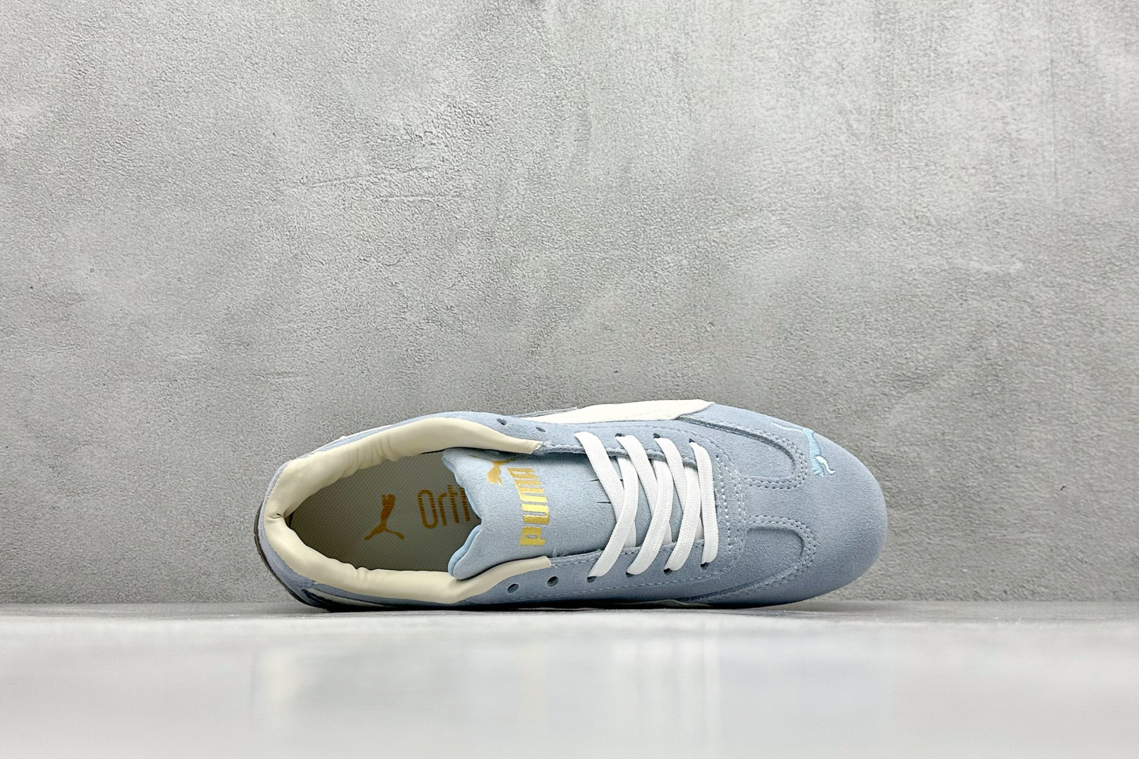 170 Xs版 Puma Palermo 防滑耐磨低帮德训板鞋  403688-01