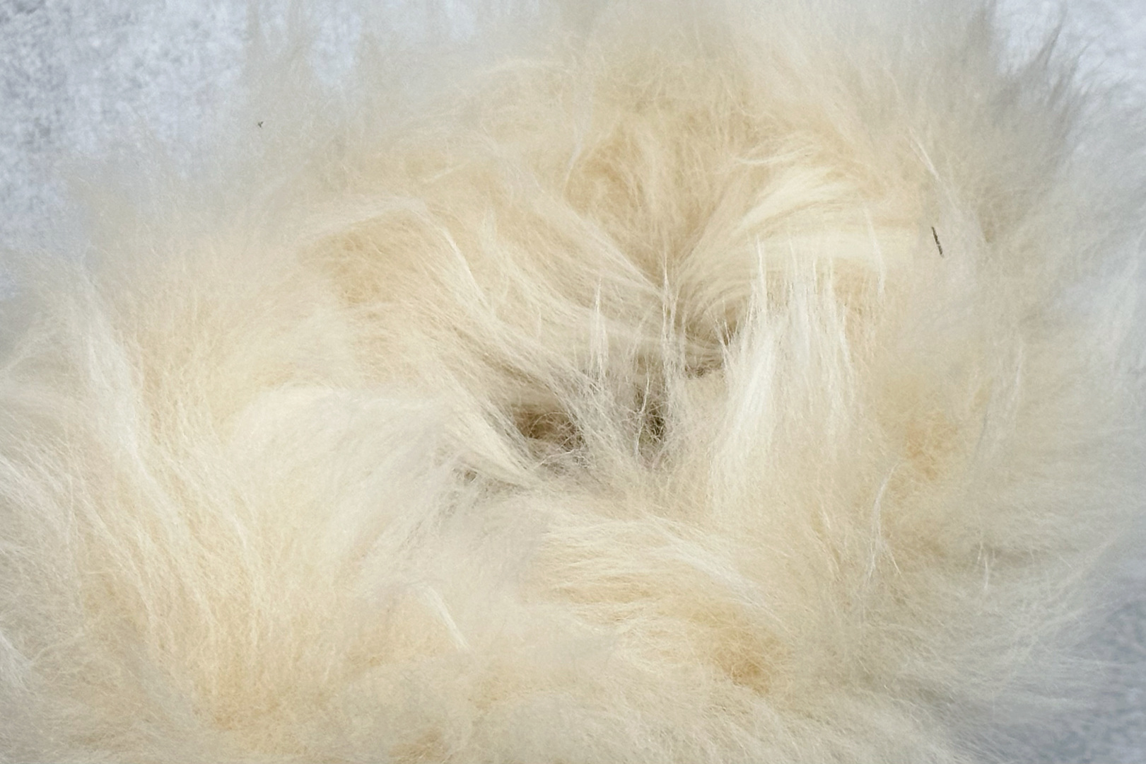 300 UGG W CLASSIC ULTRA MINI CHALET 新款一体雪地靴 1173832