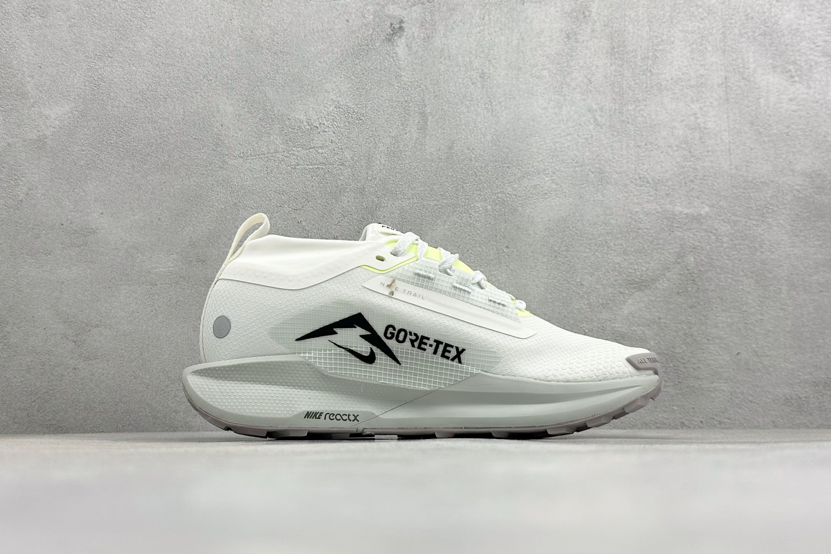 Nike REACTX PEGASUS TRAIL 5 GTX 越野跑步鞋 FQ0908-102