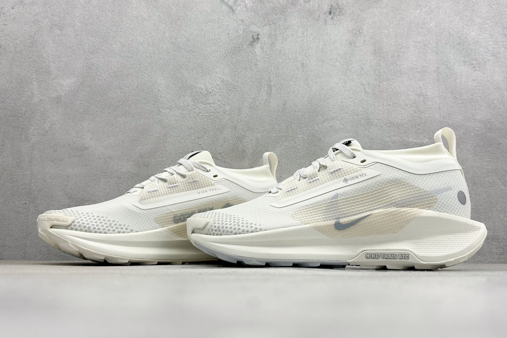 Nike REACTX PEGASUS TRAIL 5 GTX 越野跑步鞋 FQ0908-101