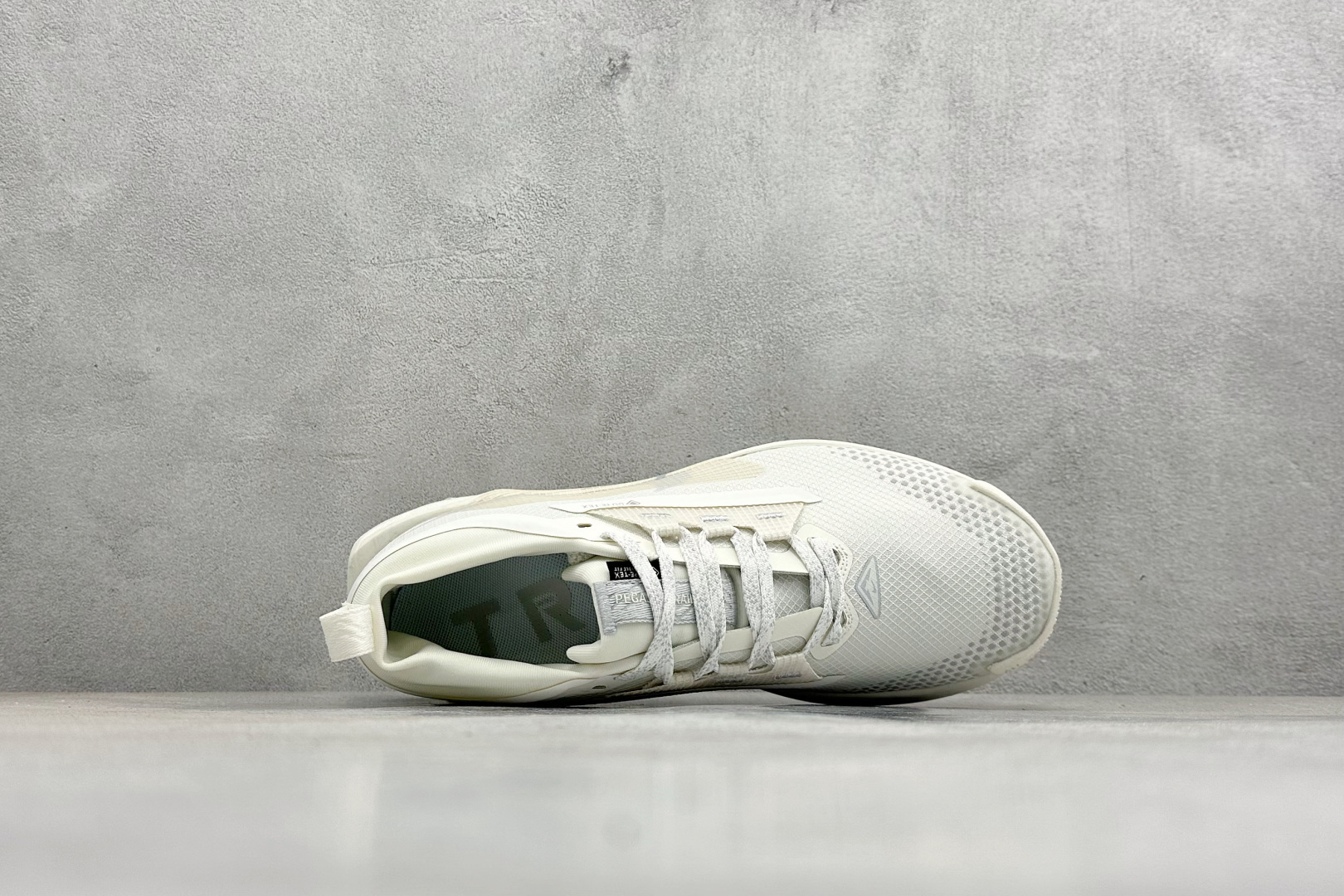 Nike REACTX PEGASUS TRAIL 5 GTX 越野跑步鞋 FQ0908-101