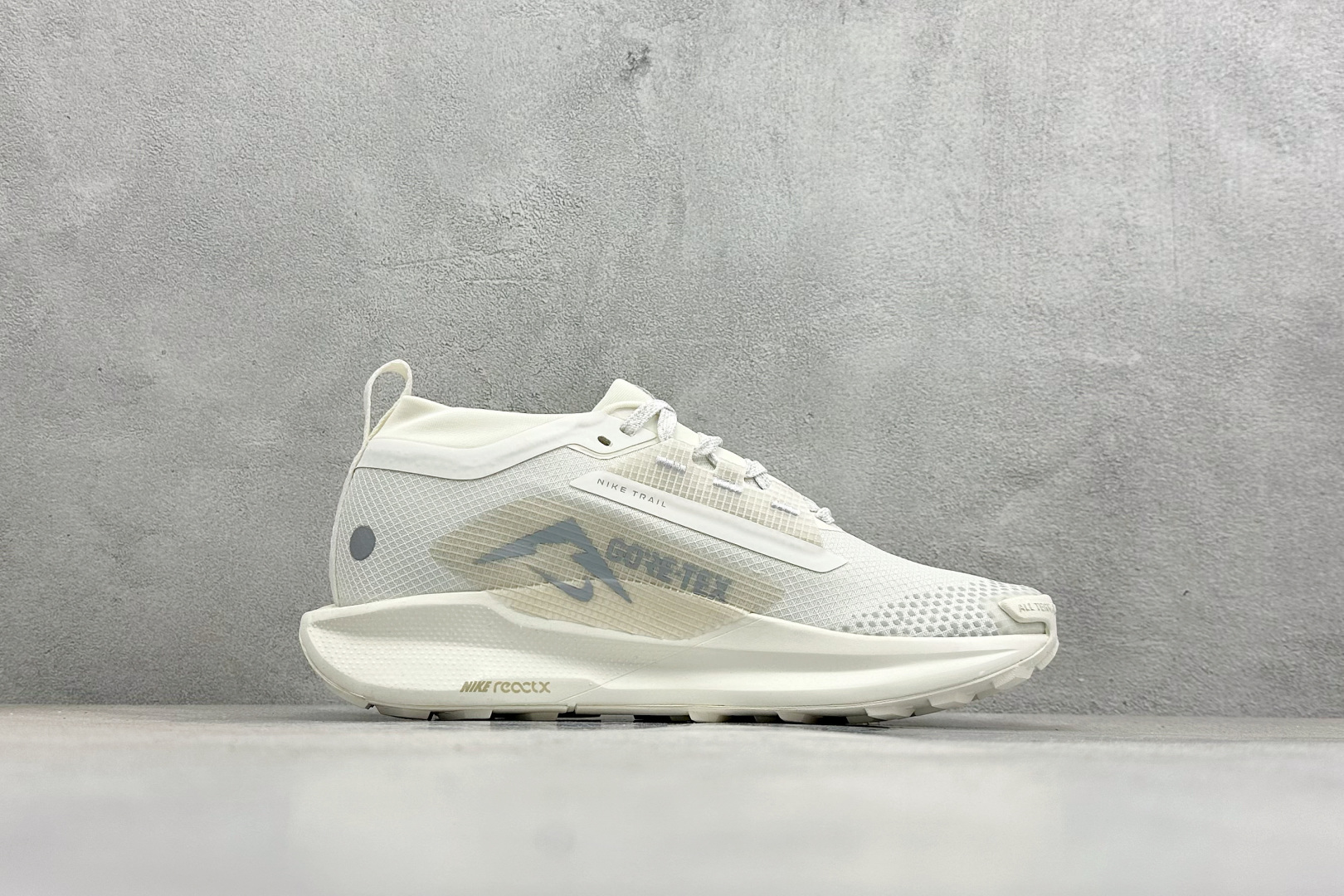 Nike REACTX PEGASUS TRAIL 5 GTX 越野跑步鞋 FQ0908-101