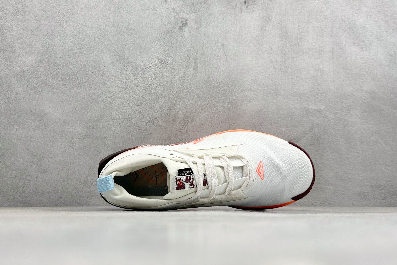 Nike REACTX PEGASUS TRAIL 5 GTX 越野跑步鞋 FQ0912-104 Nike REACTX PEGASUS TRAIL 5 GTX 越野跑步鞋 FQ0912-104