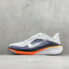 LC版NK Air Zoom Pegasus 42代 耐磨防滑运动跑步鞋 高端零售专供 内置Zoom气垫 鞋盒钢印 原厂 LC版NK Air Zoom Pegasus 42代 耐磨防滑运动跑步鞋 高端零售专供 内置Zoom气垫 鞋盒钢印 原厂