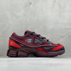 AD X RAF SIMONS 拉夫西蒙 Ozweego 先锋潮流 水泡 复古低帮休闲鞋 独家定制鞋盒 防层袋 卡片及可 AD X RAF SIMONS 拉夫西蒙 Ozweego 先锋潮流 水泡 复古低帮休闲鞋 独家定制鞋盒 防层袋 卡片及可
