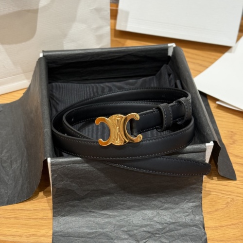 Celine Women's Smooth Calfskin Belt with Triomphe Buckle, Gold Hardware 1 Celine Women's Smooth Calfskin Belt with Triomphe Buckle, Gold Hardware