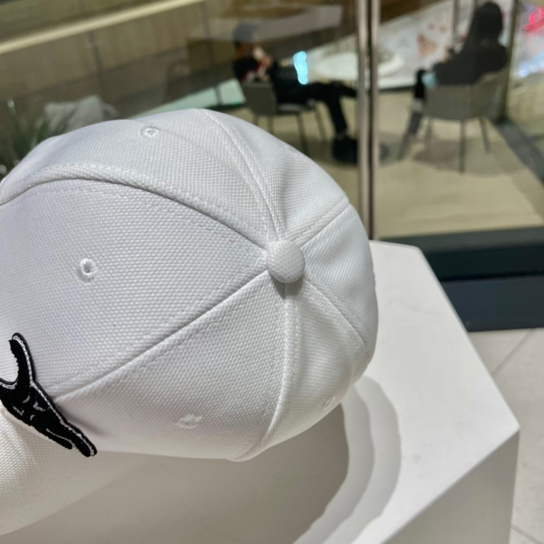 CELIN 赛琳ss新款凯旋门刺绣棒球帽🧢帽型完全按照定做。凯旋门图案章仔区别市面版本，大小及圈圈毛质感