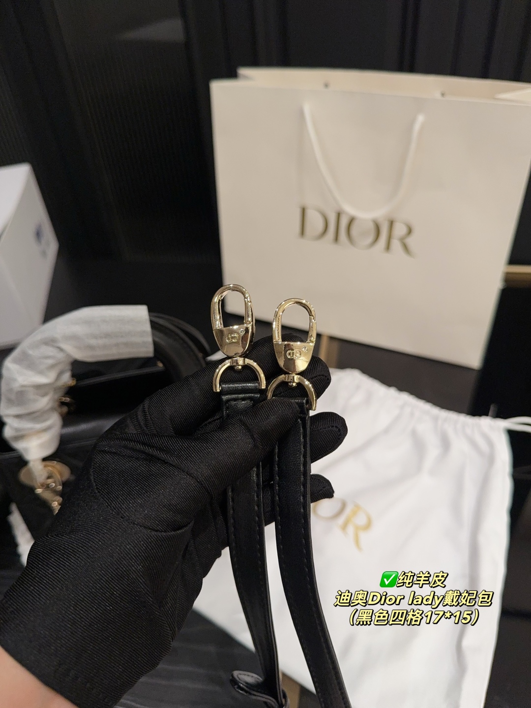 Dior Lady Dior Bag: Elegancia Clásica en Piel de Cordero Genuina, Diseño Atemporal 6 cmp i1747543042218 560 0 2