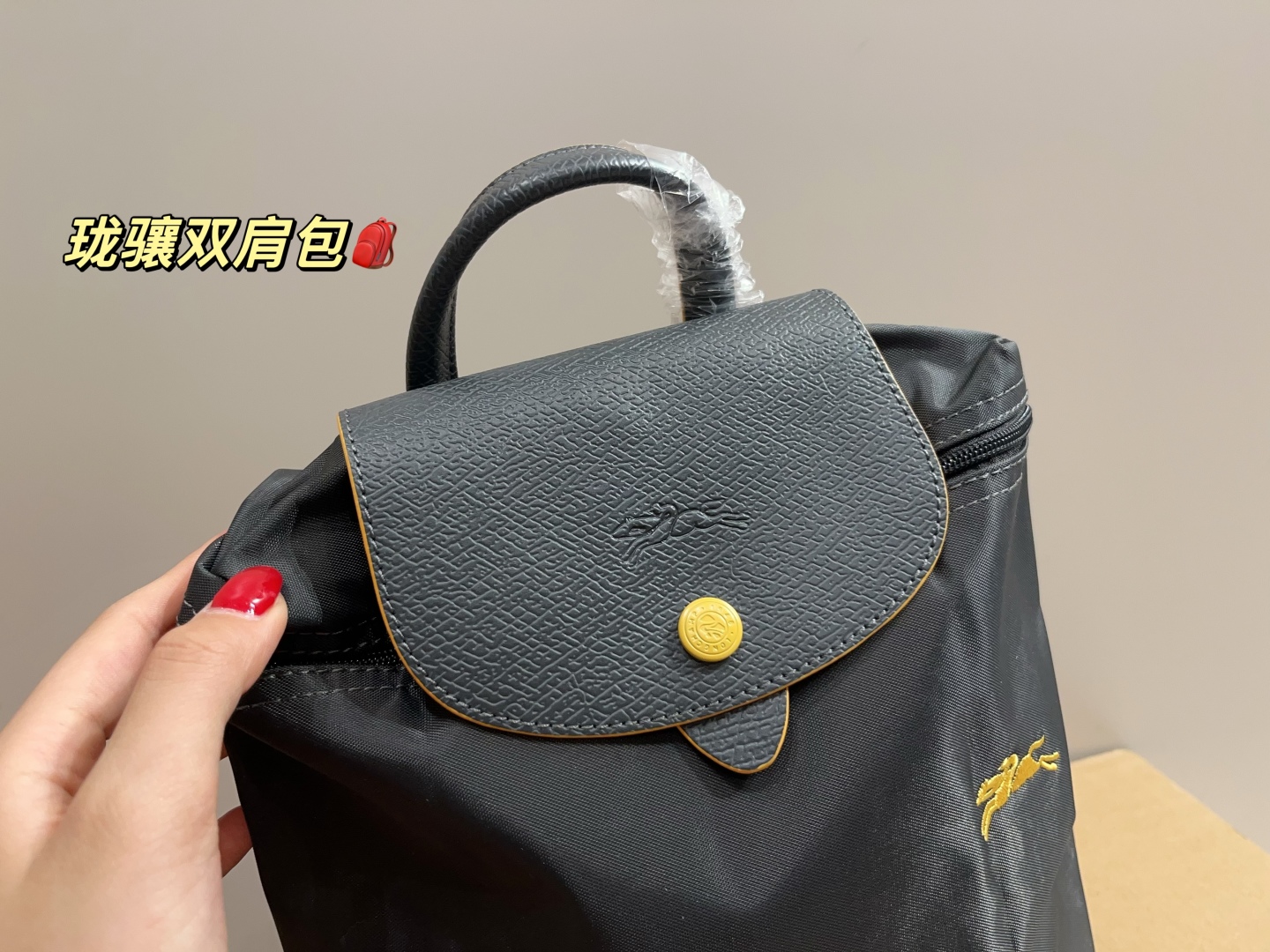 P115 ⚠️尺寸23.28
珑骧尼龙双肩包
简单百搭 颜值高
日常出街首选
潮酷时尚女孩必入款