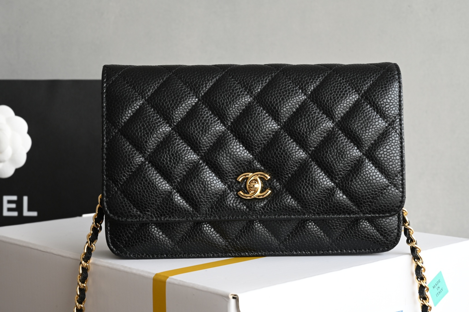 🌼白金版▪️正品级 包装如图全新到货𝟐𝟓𝐜全新𝐰𝐨𝐜链条包独家𝖧𝖺𝖺𝗌鱼子酱牛皮黑金专柜售价𝟤𝟪𝟧𝟢𝟢𝗋