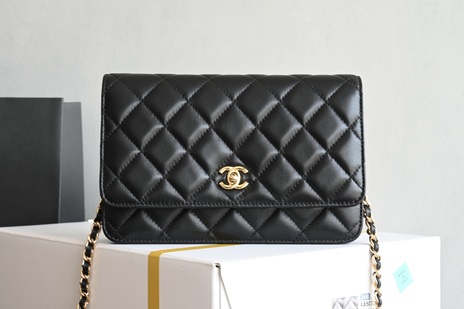 🌼白金版▪️正品级 包装如图全新到货𝟐𝟓𝐜全新𝐰𝐨𝐜链条包专柜售价𝟤𝟪𝟧𝟢𝟢𝗋𝗆𝖻购入开发〰️全新上线🔥