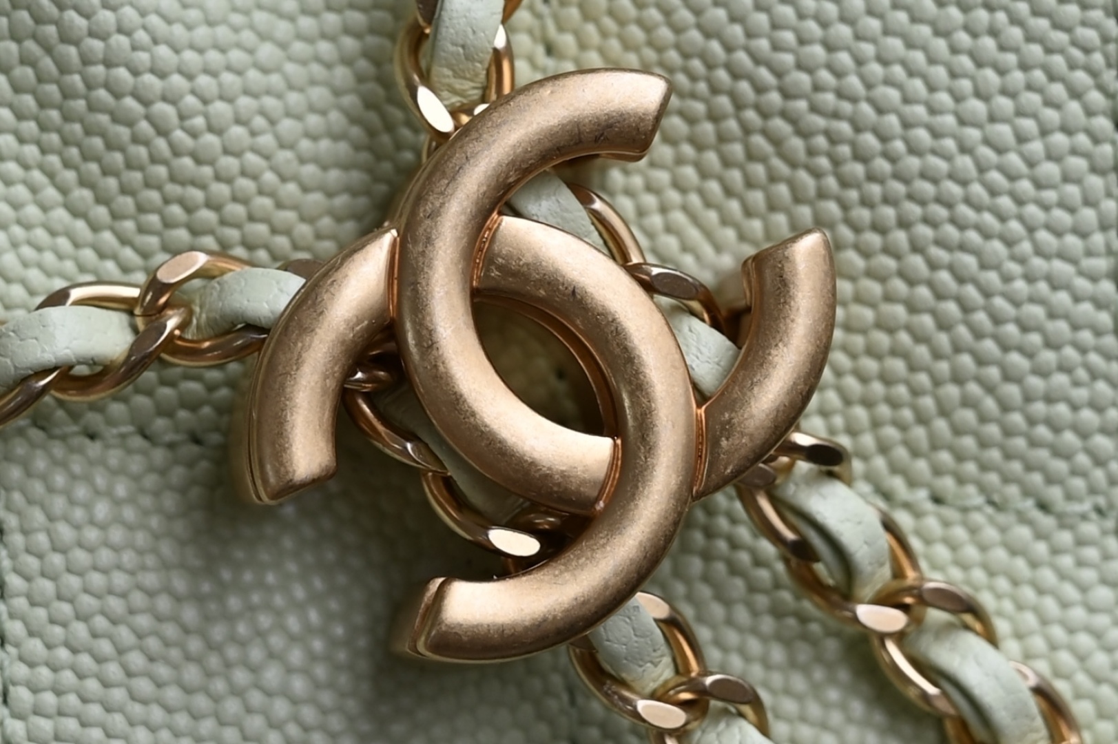 白金版▪️正品级 包装如图全新到货🆕𝗖𝗵𝗮𝗻𝗲𝟭 𝟮𝟓𝐒𝟐𝟓𝐁𝐚𝐠嬉皮购物包小号 苹果绿专柜售价𝟦𝟩𝟪𝟢